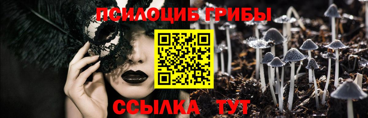 Орск  Галлюциногенные грибы Psilocybine cubensis  Галлюциногенные грибы MAGIC MUSHROOMS  Вход с VPN 